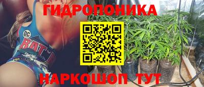 шишки Ивантеевка