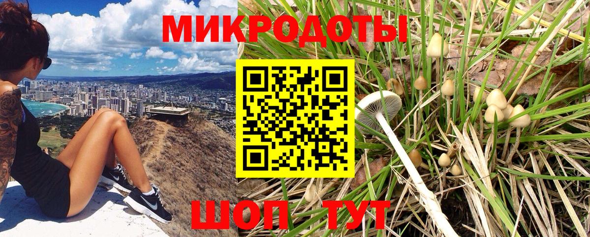 Галлюциногенные грибы ЛСД Белогорск